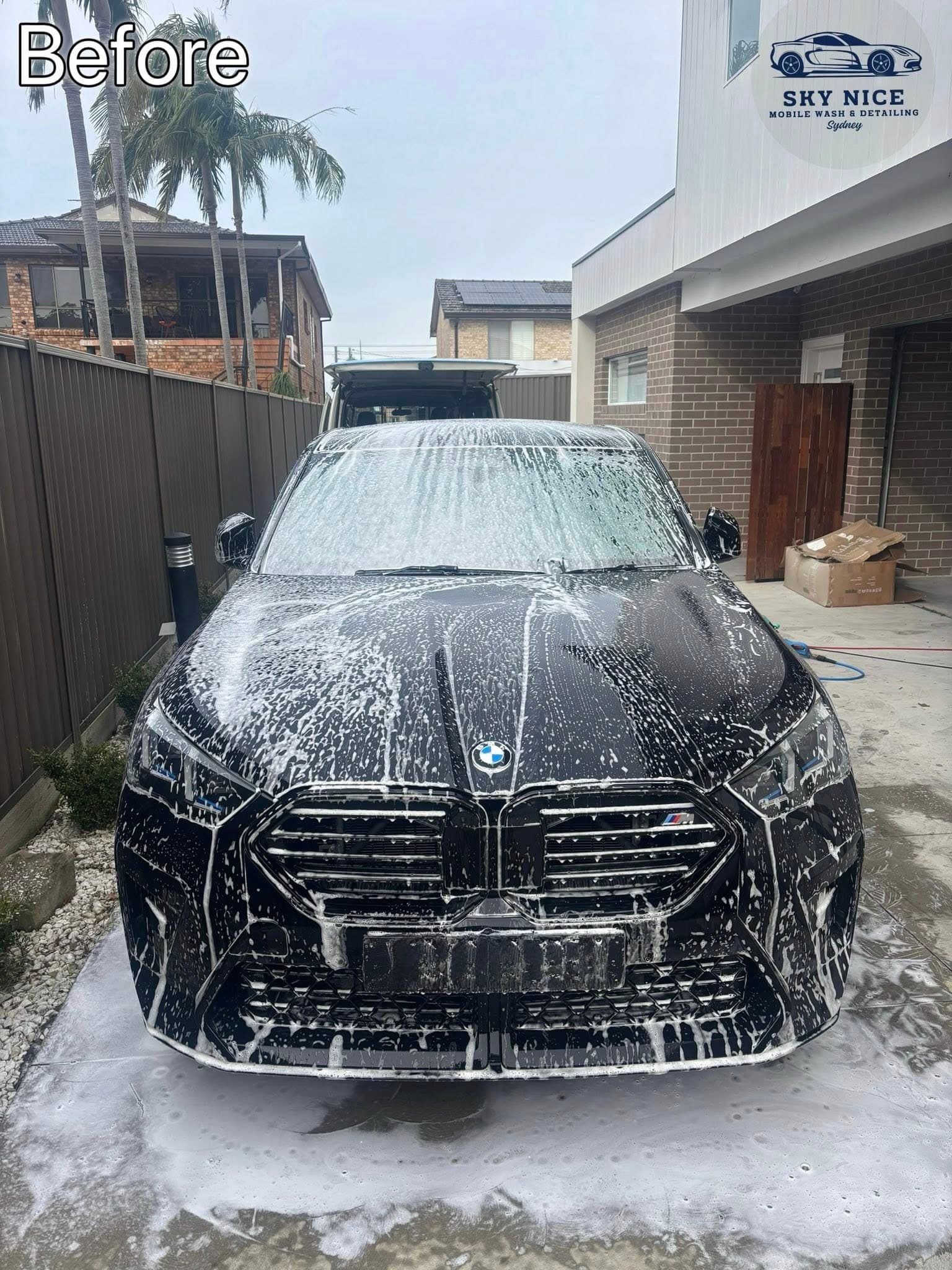 Paint before restoration - swirl marks and oxidation